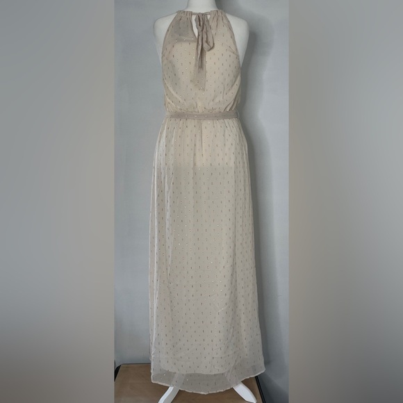 ModCloth Illuminated Elegance Chiffon Sleeveless Maxi Dress Size Medium - Picture 2 of 11